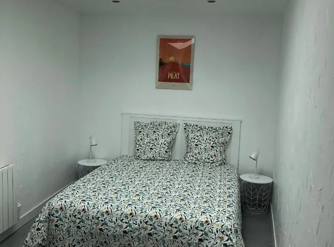 Les Locations Du Bassin Alexandre Apartament *