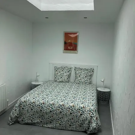 Les Locations Du Bassin Alexandre Apartment *